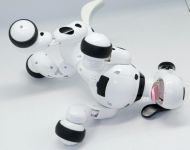 RC Robot Dalmatin